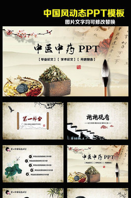 中國傳統文化中醫中藥傳播動態PPT模板